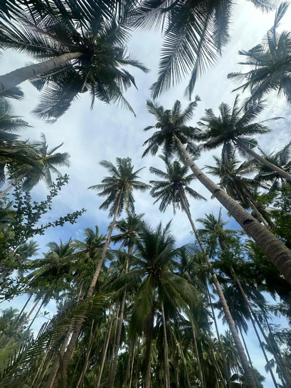 Efrena Agro Tourism Beach El Nido Exteriör bild