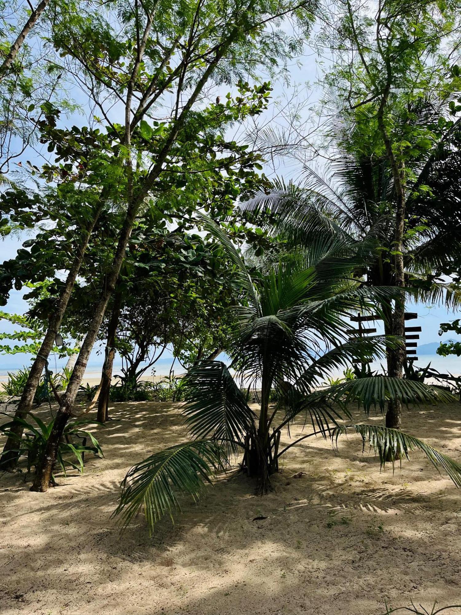 Efrena Agro Tourism Beach El Nido Exteriör bild