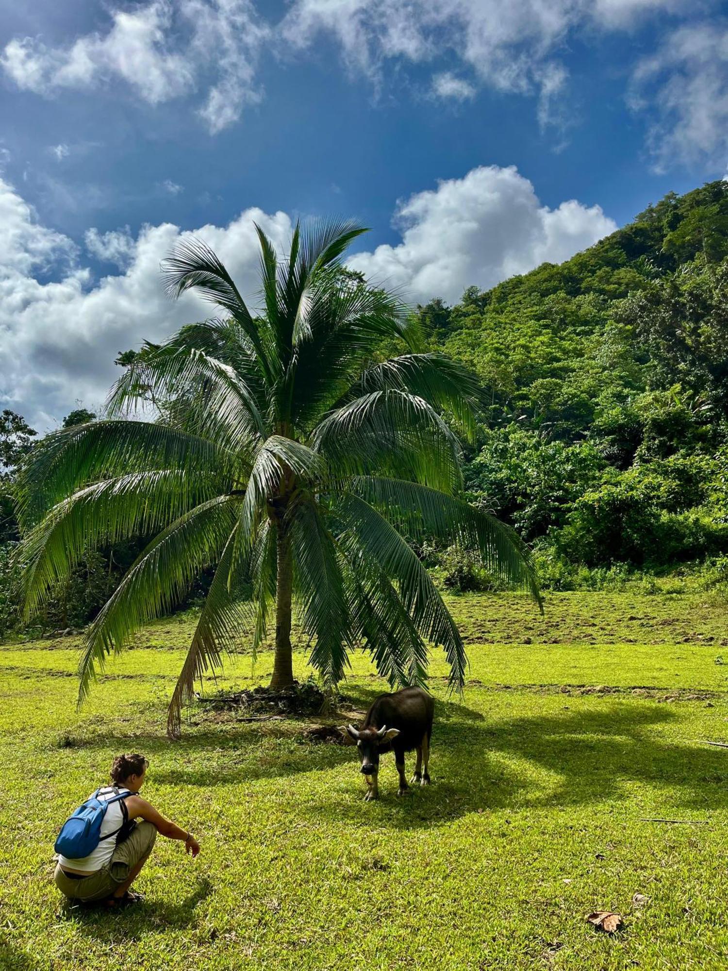 Efrena Agro Tourism Beach El Nido Exteriör bild