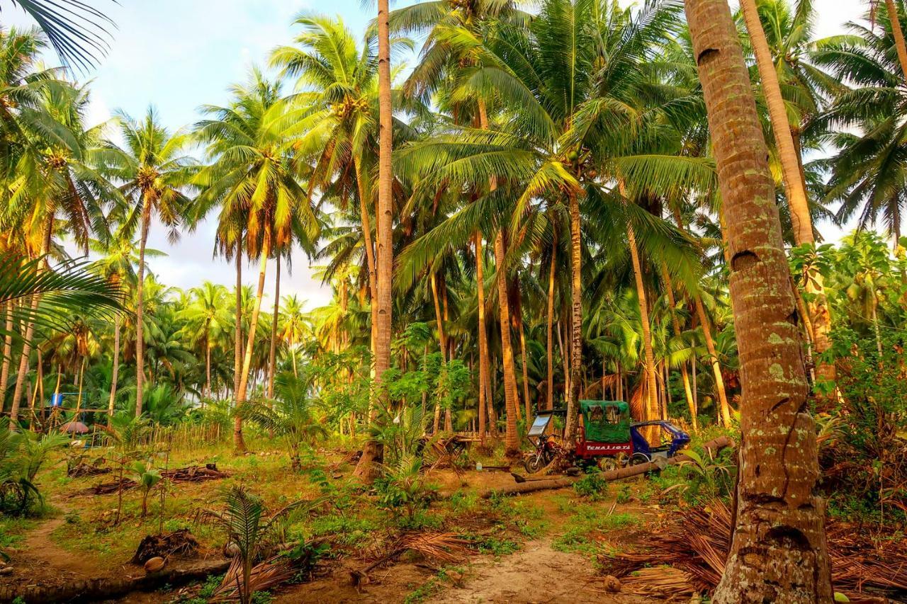 Efrena Agro Tourism Beach El Nido Exteriör bild